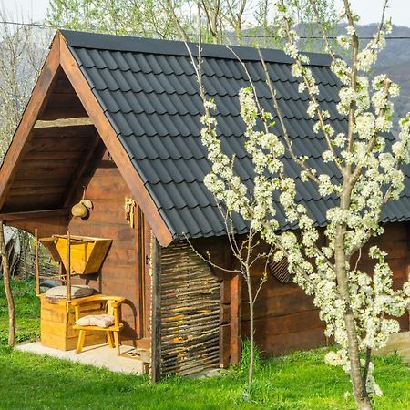 Djurdjevina Family Farm Villa Kolašin Exteriör bild