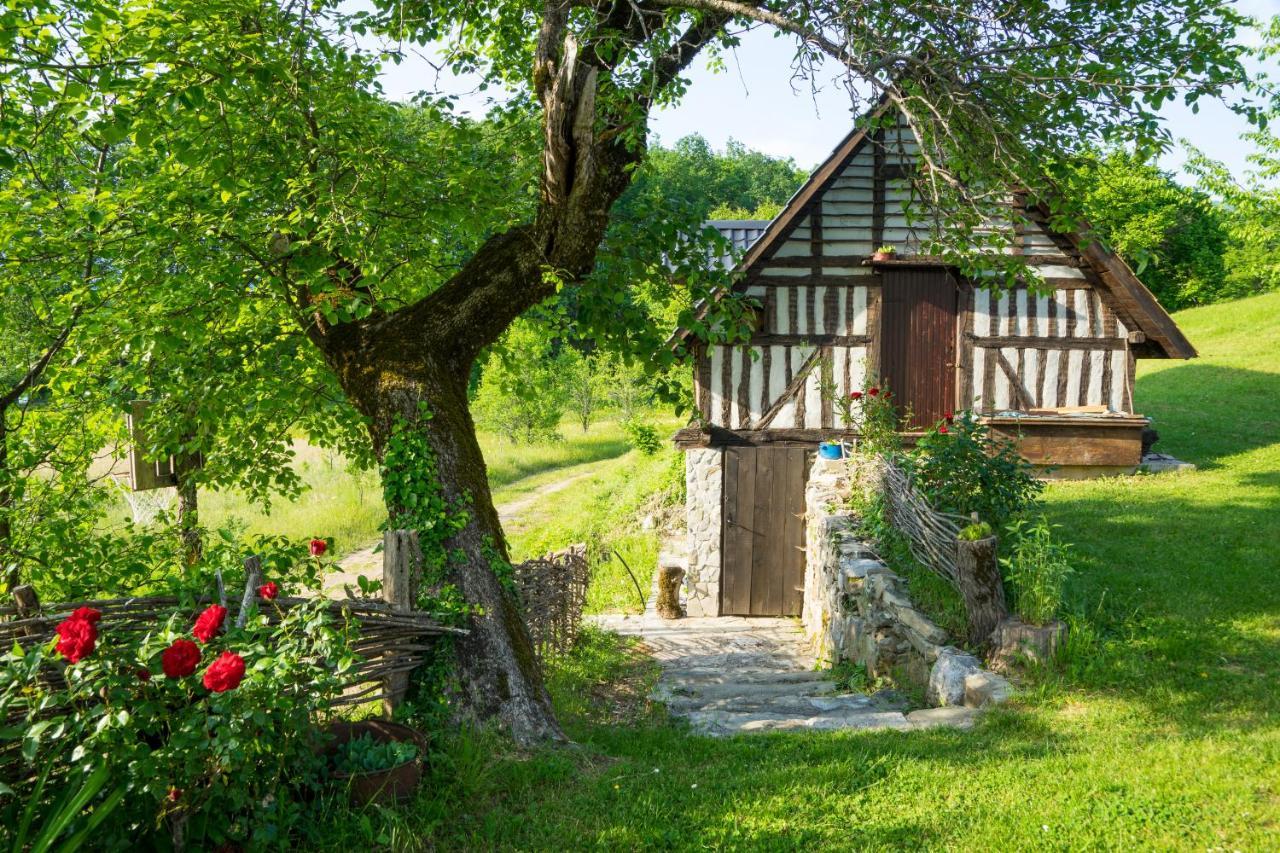 Djurdjevina Family Farm Villa Kolašin Exteriör bild