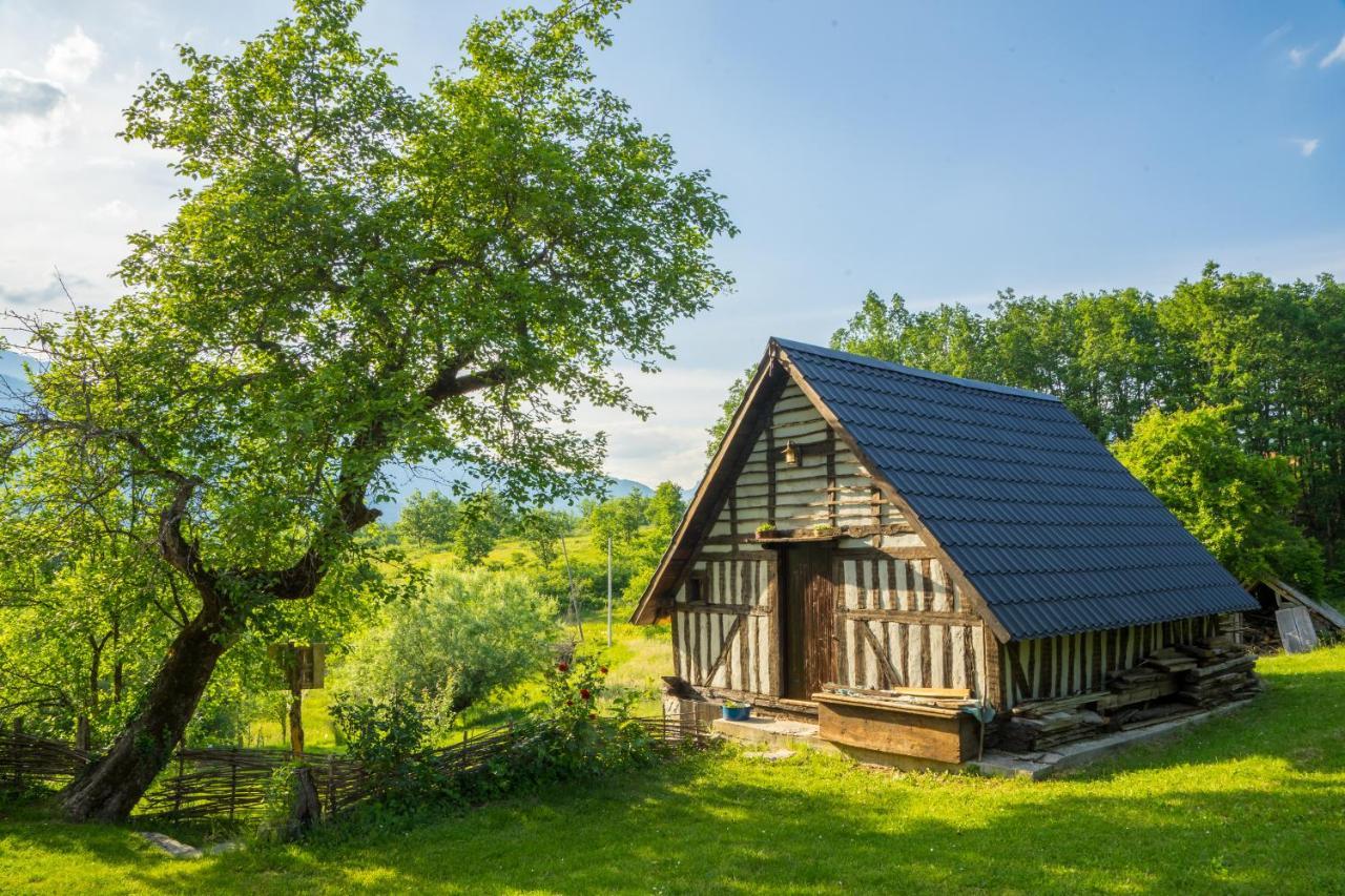 Djurdjevina Family Farm Villa Kolašin Exteriör bild