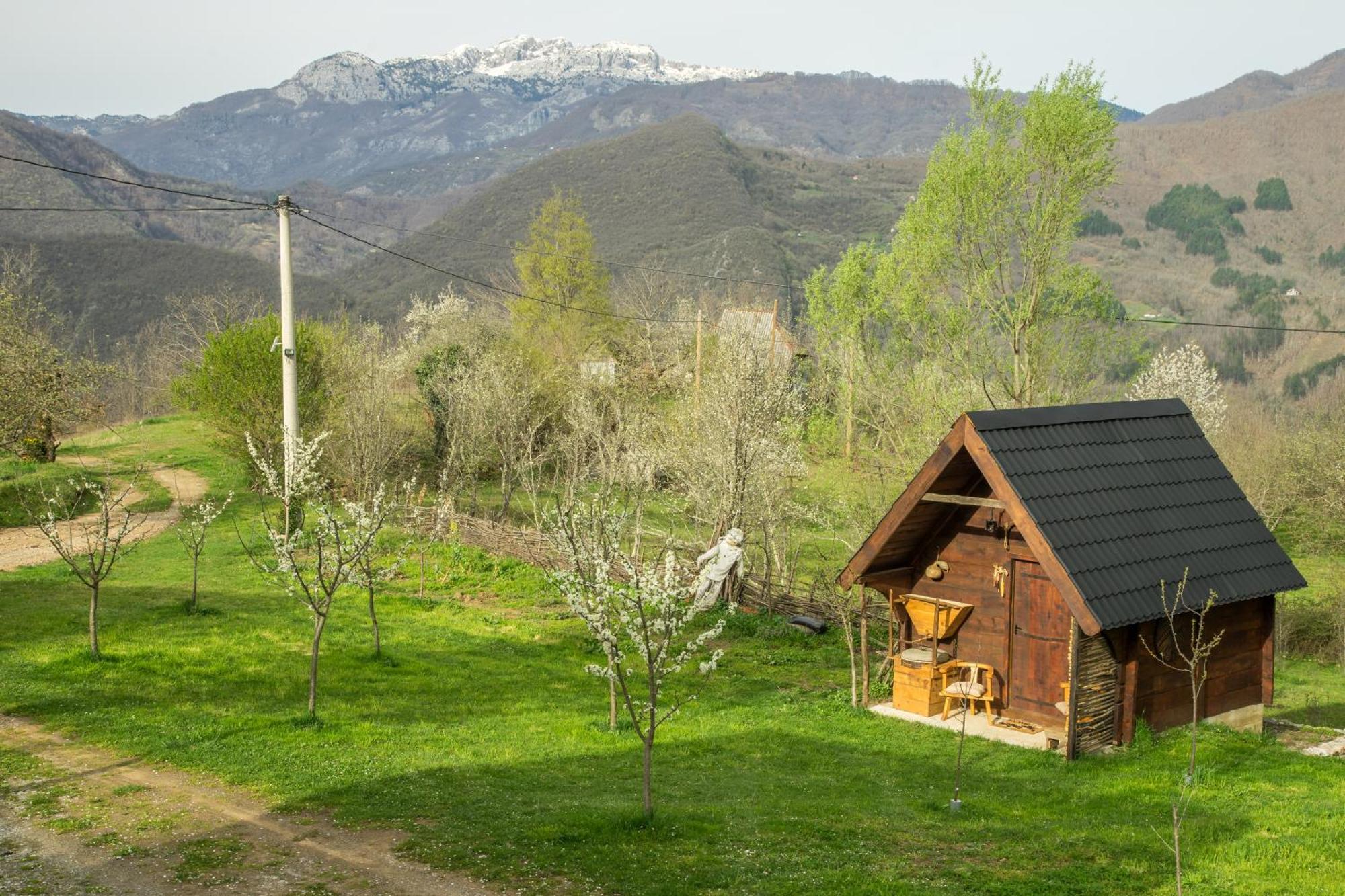 Djurdjevina Family Farm Villa Kolašin Exteriör bild