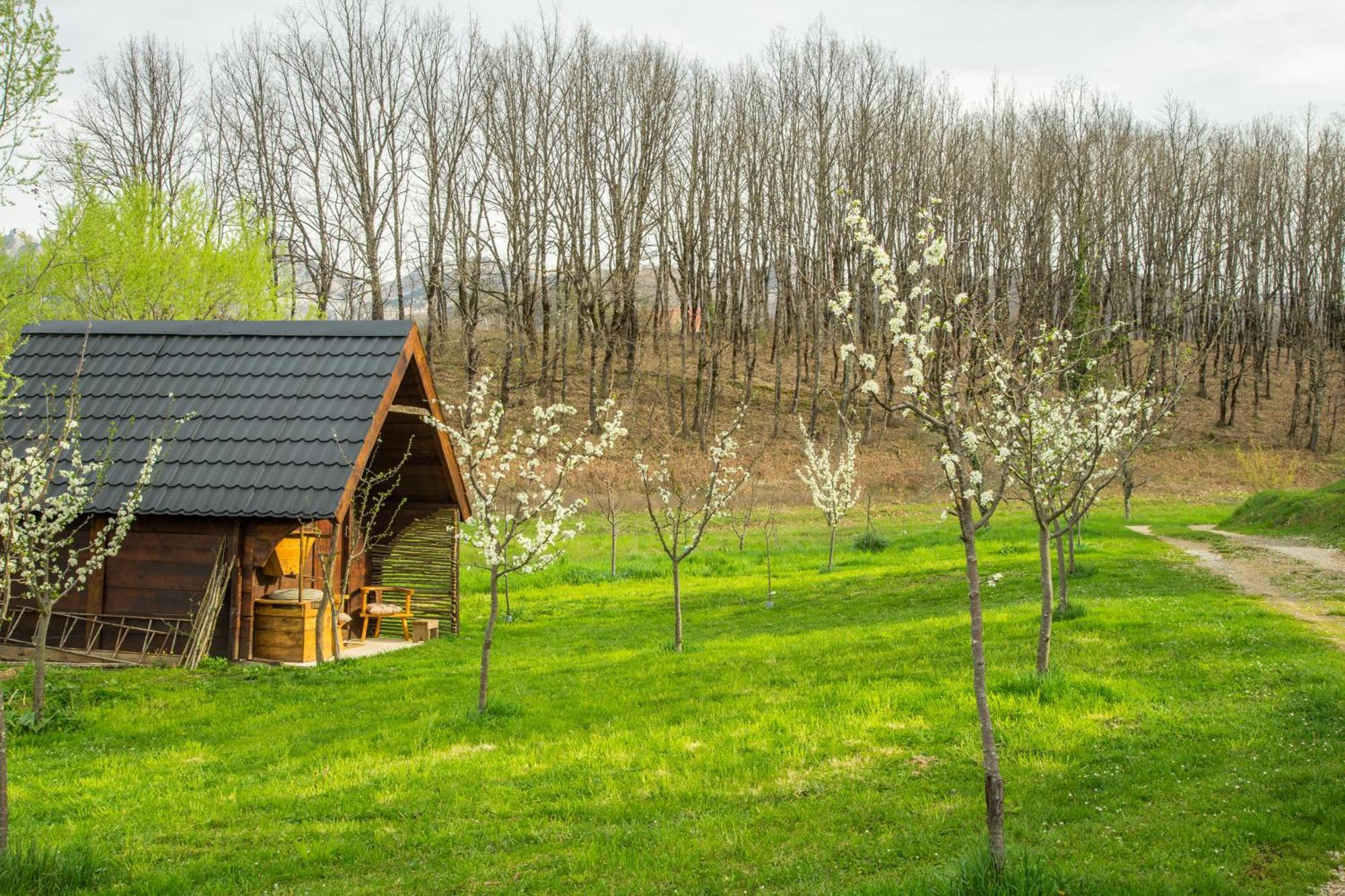 Djurdjevina Family Farm Villa Kolašin Exteriör bild