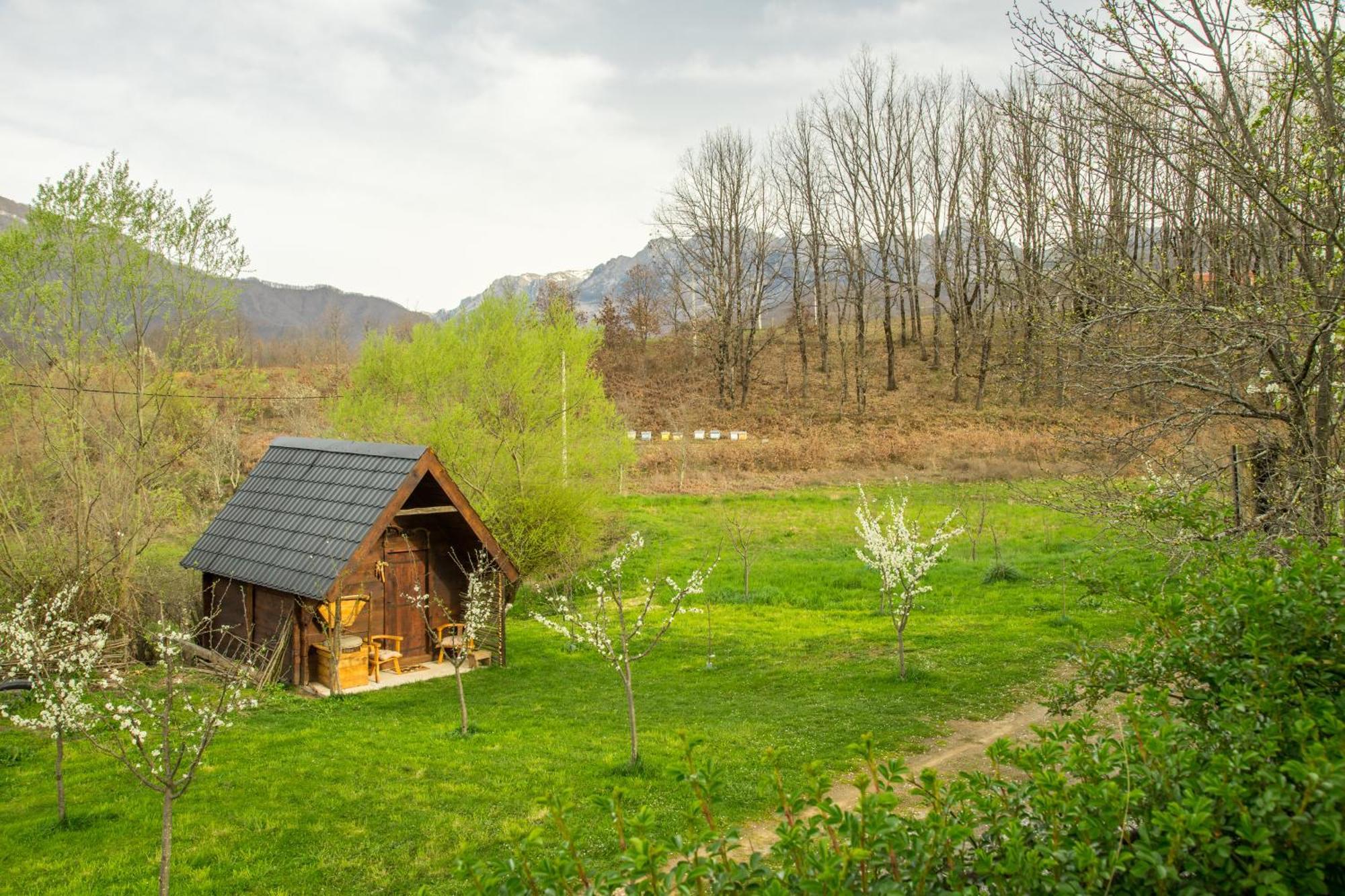 Djurdjevina Family Farm Villa Kolašin Rum bild