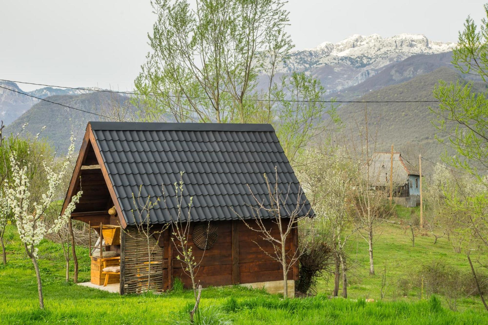Djurdjevina Family Farm Villa Kolašin Rum bild