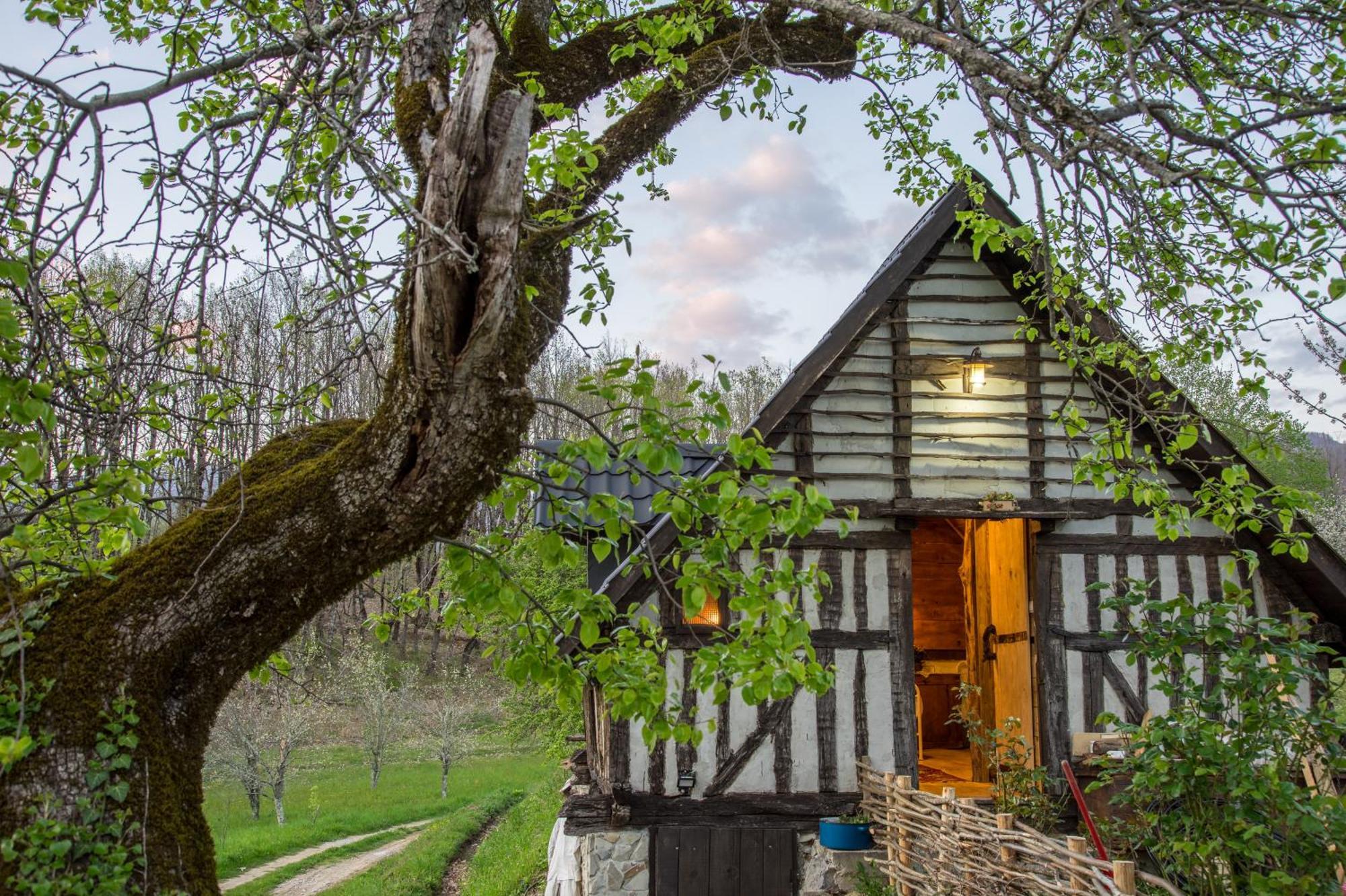 Djurdjevina Family Farm Villa Kolašin Rum bild
