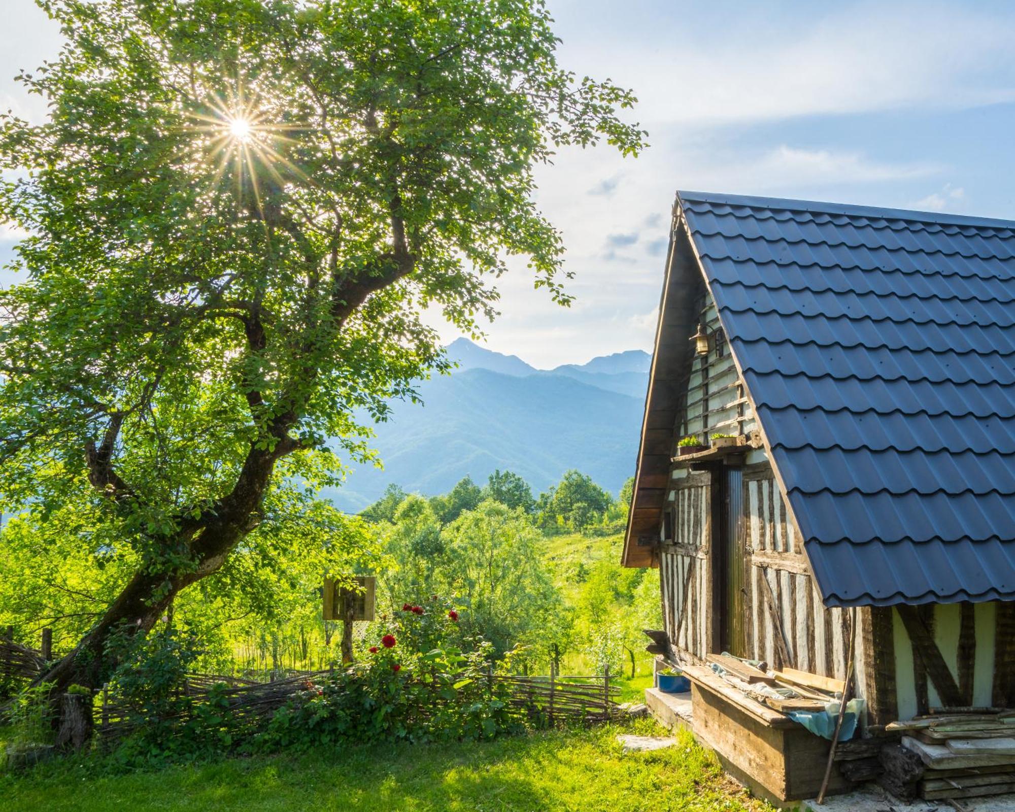 Djurdjevina Family Farm Villa Kolašin Rum bild